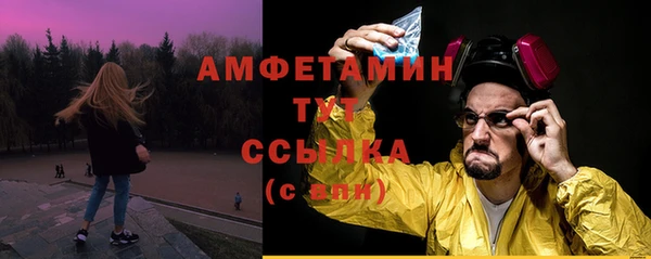 ПСИЛОЦИБИНОВЫЕ ГРИБЫ Горно-Алтайск