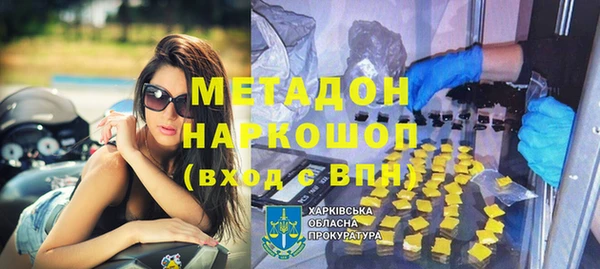 ПСИЛОЦИБИНОВЫЕ ГРИБЫ Горно-Алтайск