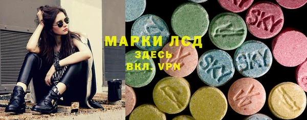 ПСИЛОЦИБИНОВЫЕ ГРИБЫ Горно-Алтайск