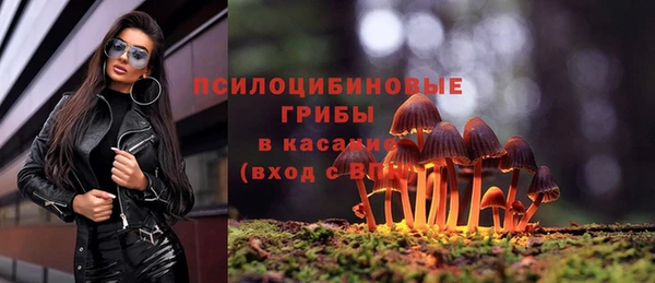 мдма Горнозаводск