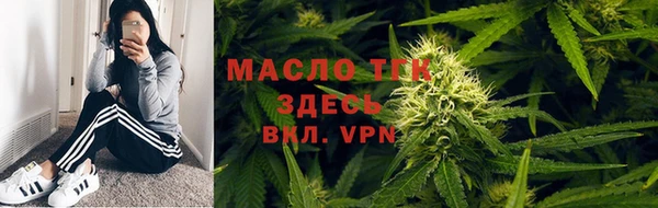 ПСИЛОЦИБИНОВЫЕ ГРИБЫ Горно-Алтайск
