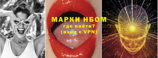 ПСИЛОЦИБИНОВЫЕ ГРИБЫ Горно-Алтайск