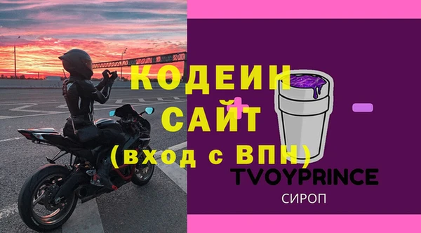 ПСИЛОЦИБИНОВЫЕ ГРИБЫ Горно-Алтайск
