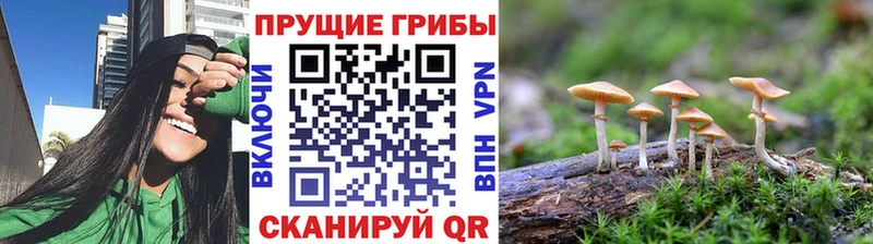 гидра зеркало  Сергач  Галлюциногенные грибы GOLDEN TEACHER 